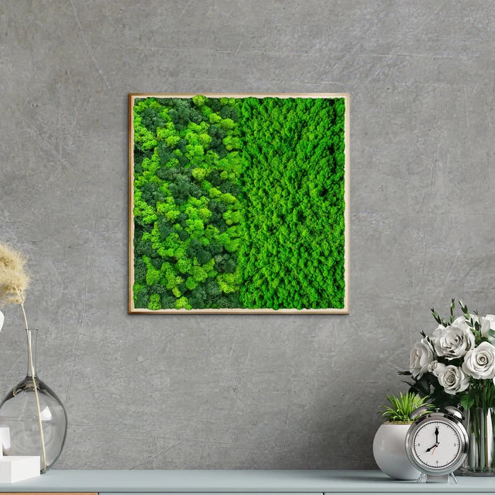 Half Moss Art Quadratischer Rahmen