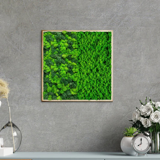 Half Moss Art Quadratischer Rahmen