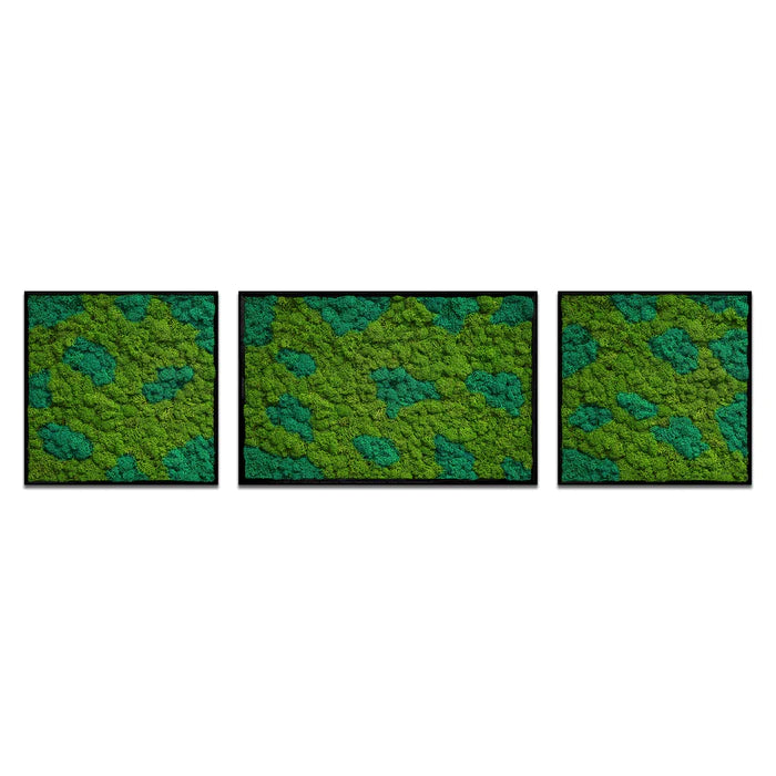 Pannello multiplo Moss Art Trio