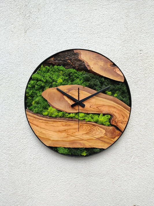 Orologio Muschio in legno d'ulivo