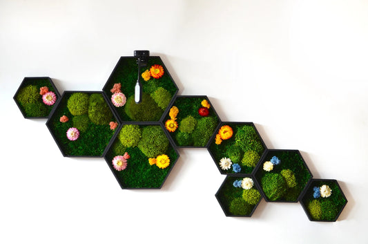 Puzzle Moss Illustrazione di Luxana