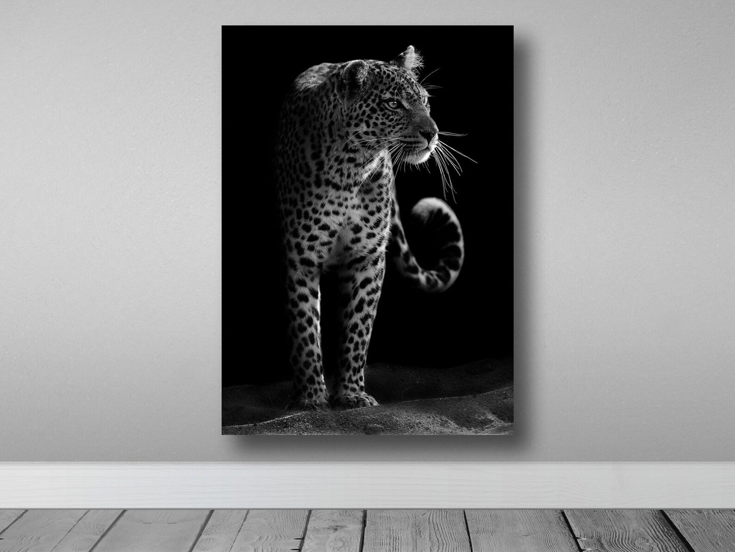 Leopard in Black Leinwand