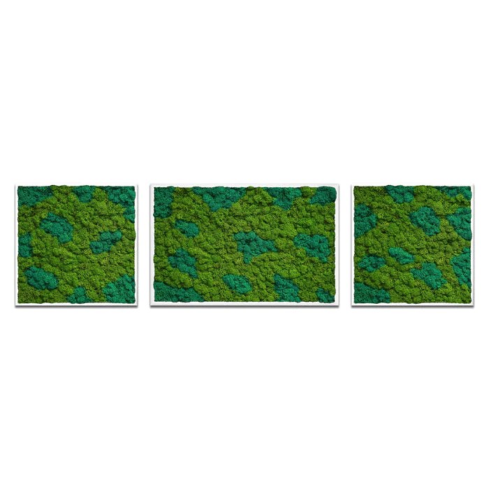 Pannello multiplo Moss Art Trio